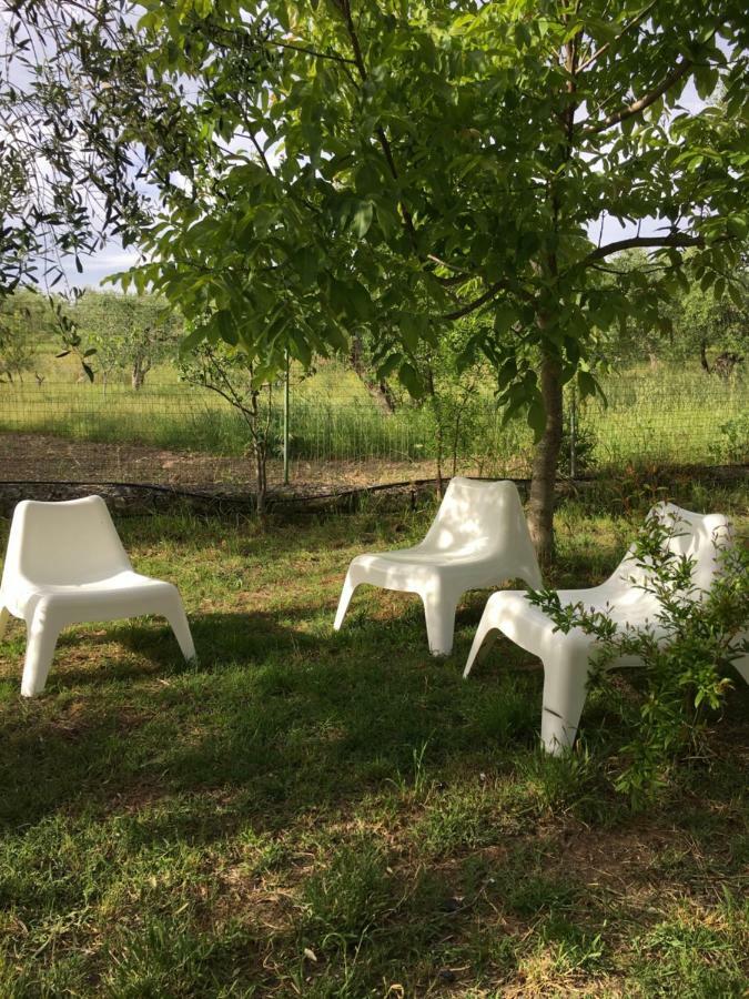 Dimore All'Ofra Matera Exterior photo